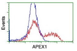 APEX1 Monoclonal Antibody (OTI6E10), TrueMAB , OriGene 100 &mu;L; Unconjugated:Antibodies,