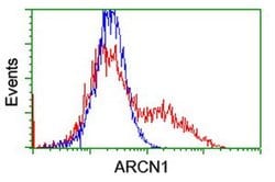 ARCN1 Mouse anti-Canine, Human, Rat, Clone: OTI4H9, liquid, TrueMAB 100