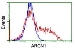 ARCN1 Monoclonal Antibody (OTI6A6), TrueMAB , OriGene 30 &mu;L; Unconjugated:Antibodies,
