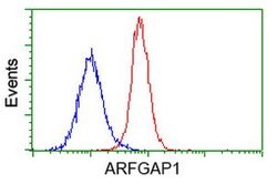 ARFGAP1 Mouse anti-Human, Clone: OTI1H6, lyophilized, TrueMAB 100 &mu;g;