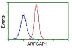 ARFGAP1 Monoclonal Antibody (OTI1H6), TrueMAB , OriGene 100 &mu;L; Unconjugated:Antibodies,