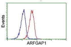 ARFGAP1 Monoclonal Antibody (OTI1F9), TrueMAB , OriGene 100 &mu;L; Unconjugated:Antibodies,