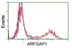 ARFGAP1 Mouse anti-Human, Clone: OTI1H4, lyophilized, TrueMAB 100 &mu;g;