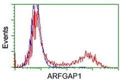 ARFGAP1 Monoclonal Antibody (OTI1H4), TrueMAB , OriGene:Antibodies:Primary