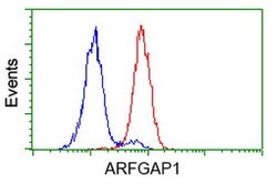 ARFGAP1 Mouse anti-Human, Clone: OTI1H4, lyophilized, TrueMAB 100 &mu;g;