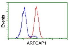 ARFGAP1 Monoclonal Antibody (OTI1H4), TrueMAB , OriGene 100 &mu;L; Unconjugated:Antibodies,