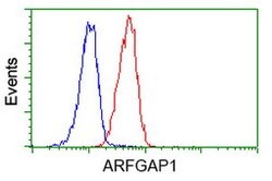 ARFGAP1 Mouse anti-Human, Clone: OTI1H4, lyophilized, TrueMAB 100 &mu;g;