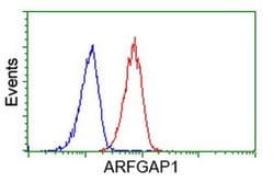 ARFGAP1 Monoclonal Antibody (OTI2C5), TrueMAB , OriGene 100 &mu;L; Unconjugated:Antibodies,