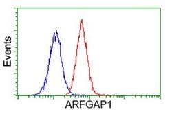 ARFGAP1 Monoclonal Antibody (OTI2C5), TrueMAB , OriGene:Antibodies:Primary