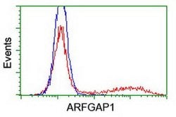ARFGAP1 Monoclonal Antibody (OTI 2C10), TrueMAB , OriGene 30 &mu;L; Unconjugated:Antibodies,