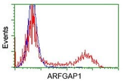 ARFGAP1 Monoclonal Antibody (OTI2D5), TrueMAB , OriGene 30 &mu;L; Unconjugated:Antibodies,