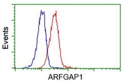 ARFGAP1 Monoclonal Antibody (OTI2D5), TrueMAB , OriGene:Antibodies:Primary