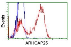 ARHGAP25 Mouse anti-Human, Clone: OTI12E6, lyophilized, TrueMAB 100 &mu;g;