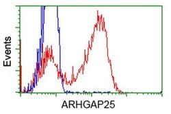 ARHGAP25 Monoclonal Antibody (OTI12E6), TrueMAB , OriGene 30 &mu;L; Unconjugated:Antibodies,