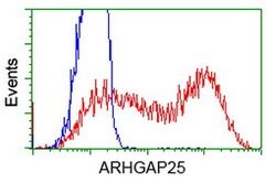 ARHGAP25 Mouse anti-Human, Clone: OTI12G4, lyophilized, TrueMAB 100 &mu;g;