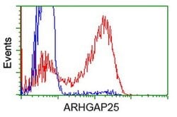 ARHGAP25 Monoclonal Antibody (OTI11B9), TrueMAB , OriGene 30 &mu;L; Unconjugated:Antibodies,