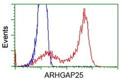 ARHGAP25 Mouse anti-Canine, Human, Clone: OTI11D3, lyophilized, TrueMAB