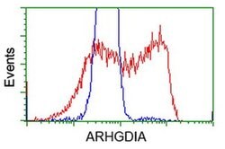 ARHGDIA Monoclonal Antibody (OTI1F2), TrueMAB , OriGene 30 &mu;L; Unconjugated:Antibodies,