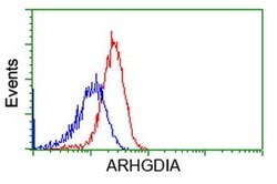 ARHGDIA Monoclonal Antibody (OTI1F2), TrueMAB , OriGene 30 &mu;L; Unconjugated:Antibodies,