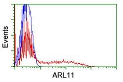 ARL11 Monoclonal Antibody (OTI1A5), TrueMAB , OriGene 30 &mu;L; Unconjugated:Antibodies,
