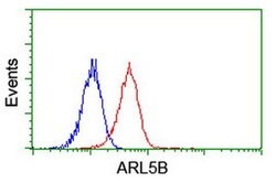 ARL5B Monoclonal Antibody (OTI2D7), TrueMAB , OriGene 100 &mu;L; Unconjugated:Antibodies,