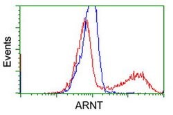 ARNT Mouse anti-Human, Clone: OTI2C7, lyophilized, TrueMAB 100 &mu;g; Unconjugated:Antibodies,