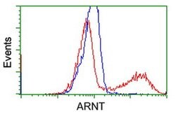 ARNT Monoclonal Antibody (OTI2C7), TrueMAB , OriGene 100 &mu;L; Unconjugated:Antibodies,