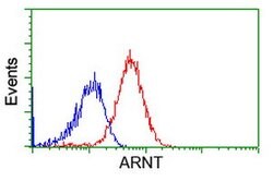 ARNT Mouse anti-Human, Clone: OTI2C7, lyophilized, TrueMAB 100 &mu;g; Unconjugated:Antibodies,