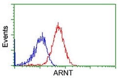 ARNT Monoclonal Antibody (OTI2C7), TrueMAB , OriGene 100 &mu;L; Unconjugated:Antibodies,