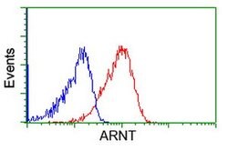 ARNT Mouse anti-Human, Clone: OTI2C7, lyophilized, TrueMAB 100 &mu;g; Unconjugated:Antibodies,