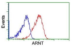 ARNT Monoclonal Antibody (OTI2C7), TrueMAB , OriGene 100 &mu;L; Unconjugated:Antibodies,