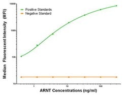 ARNT Mouse anti-Human, Clone: OTI1D10, liquid, TrueMAB 100 &mu;g; Unconjugated:Antibodies,