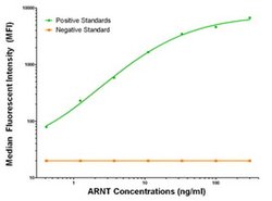 ARNT Mouse anti-Human, Clone: OTI1D10, liquid, TrueMAB 100 &mu;g; Unconjugated:Antibodies,