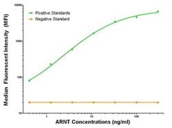 ARNT Mouse anti-Human, Biotin, Clone: OTI2C7, liquid, TrueMAB 50 &mu;g;