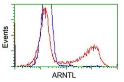 ARNTL Monoclonal Antibody (OTI1D1), TrueMAB , OriGene:Antibodies:Primary