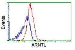 ARNTL Monoclonal Antibody (OTI1D1), TrueMAB , OriGene 30 &mu;L; Unconjugated:Antibodies,