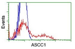 ASCC1 Mouse anti-Human, Clone: OTI6G5, lyophilized, TrueMAB 100 &mu;g;