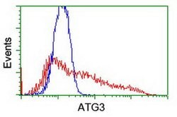 ATG3 Monoclonal Antibody (OTI3G3), TrueMAB , OriGene 100 &mu;L; Unconjugated:Antibodies,
