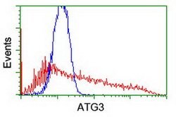 ATG3 Mouse anti-Canine, Human, Rat, Clone: OTI3C6, lyophilized, TrueMAB