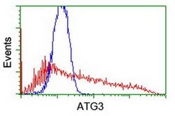 ATG3 Monoclonal Antibody (OTI3C6), TrueMAB , OriGene 100 &mu;L; Unconjugated:Antibodies,
