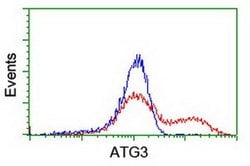 ATG3 Monoclonal Antibody (OTI2B9), TrueMAB , OriGene 30 &mu;L; Unconjugated:Antibodies,