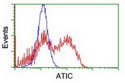 ATIC Mouse anti-Canine, Human, Mouse, Rat, Clone: OTI1D2, lyophilized,