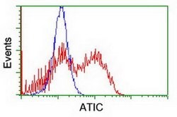 ATIC Monoclonal Antibody (OTI1D2), TrueMAB , OriGene 30 &mu;L; Unconjugated:Antibodies,