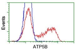 ATP5B Mouse anti-Canine, Human, Rat, Clone: OTI5G2, liquid, TrueMAB 100