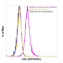 Axl Monoclonal Antibody (DS7HAXL), PE, eBioscience , Invitrogen:Antibodies:Primary
