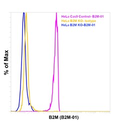beta-2 Microglobulin Monoclonal Antibody (B2M-01), Invitrogen 100 &mu;g;
