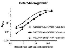 B2M Monoclonal Antibody (OTI1A7), TrueMAB , OriGene 100 &mu;L; Unconjugated:Antibodies,