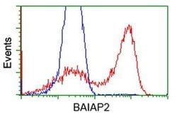 BAIAP2 Monoclonal Antibody (OTI 1D9), TrueMAB , OriGene 30 &mu;L; Unconjugated:Antibodies,