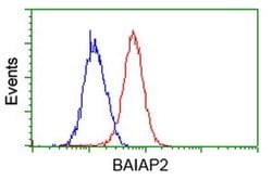 BAIAP2 Monoclonal Antibody (OTI 1D9), TrueMAB , OriGene 30 &mu;L; Unconjugated:Antibodies,