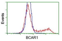 BCAR1 Monoclonal Antibody (OTI1A9), TrueMAB , OriGene 100 &mu;L; Unconjugated:Antibodies,